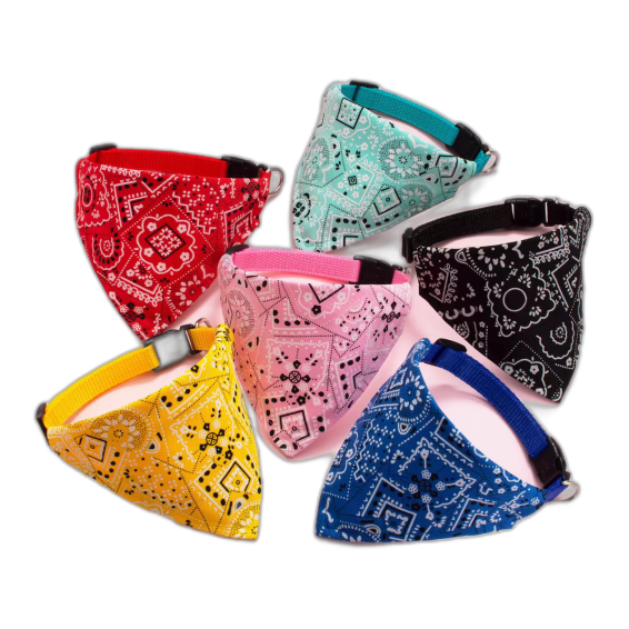 Digital Printed Fabric
